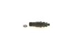 Nozzle and Holder Assembly A 002 017 34 21 MERCEDES-BENZ