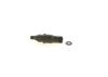 Nozzle and Holder Assembly A 002 017 34 21 MERCEDES-BENZ