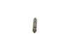 Nozzle and Holder Assembly -