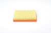 Air Filter -