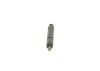 Nozzle and Holder Assembly -