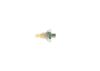 Oil Pressure Switch -