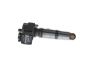 Unit Injector (UI) -