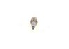 Spark Plug -