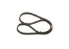 Timing Belt -