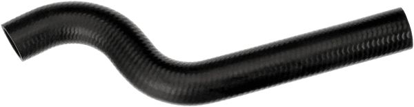 Radiator Hose -