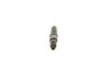 Nozzle and Holder Assembly -