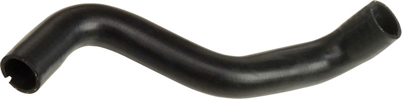 Radiator Hose -