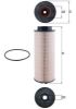 Fuel Filter Daf