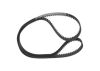 Timing Belt -