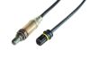 Oxygen Sensor BMW