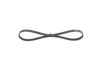 V-Ribbed Belt BMW - 11 28 7 631 826 - 4PK850 ELAST