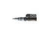 Unit Injector (UI) -