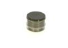 Alternator Freewheel Clutch -