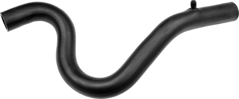 Radiator Hose -