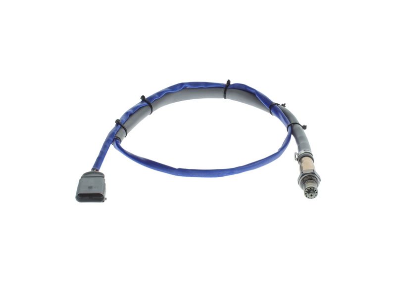 Oxygen Sensor -