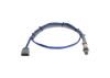 Oxygen Sensor -