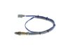 Oxygen Sensor -