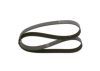 V-Ribbed Belt MAN - 51 96820 0243 - 8PK1275