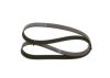 V-Ribbed Belt MAN - 51 96820 0243 - 8PK1275