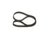 Timing Belt -