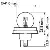 Bulb, spotlight R2 P45t-41
