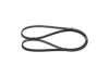 V-Ribbed Belt VAG - 059 260 849 D - 4PK1213