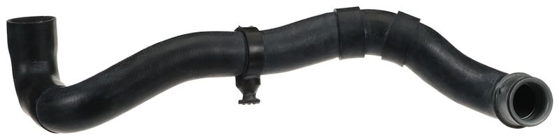 Radiator Hose -