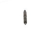 Nozzle and Holder Assembly -