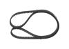 Timing Belt -