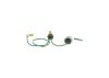 Capaciter, ignition -