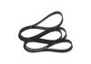 Timing Belt -