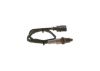 Oxygen Sensor -