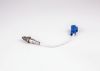 Oxygen Sensor -