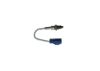 Oxygen Sensor -