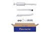 Centre Muffler -