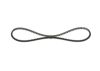 V-Belt 10X1037