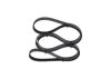 V-Ribbed Belt MERCEDES-BENZ - 015 997 48 92 - 5PK1765
