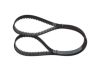 Timing Belt -