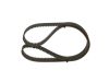 Timing Belt -