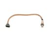 Oxygen Sensor -
