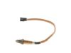 Oxygen Sensor -