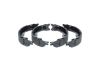 Brake Shoe Set, parking brake -