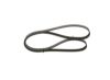 V-Ribbed Belt VAG - 038 903 137 T - 5PK1432