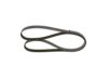 V-Ribbed Belt VAG - 038 903 137 T - 5PK1432