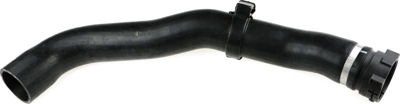 Radiator Hose -