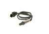 Oxygen Sensor -