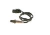 Oxygen Sensor -