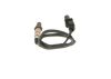 Oxygen Sensor -