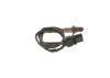 Oxygen Sensor -